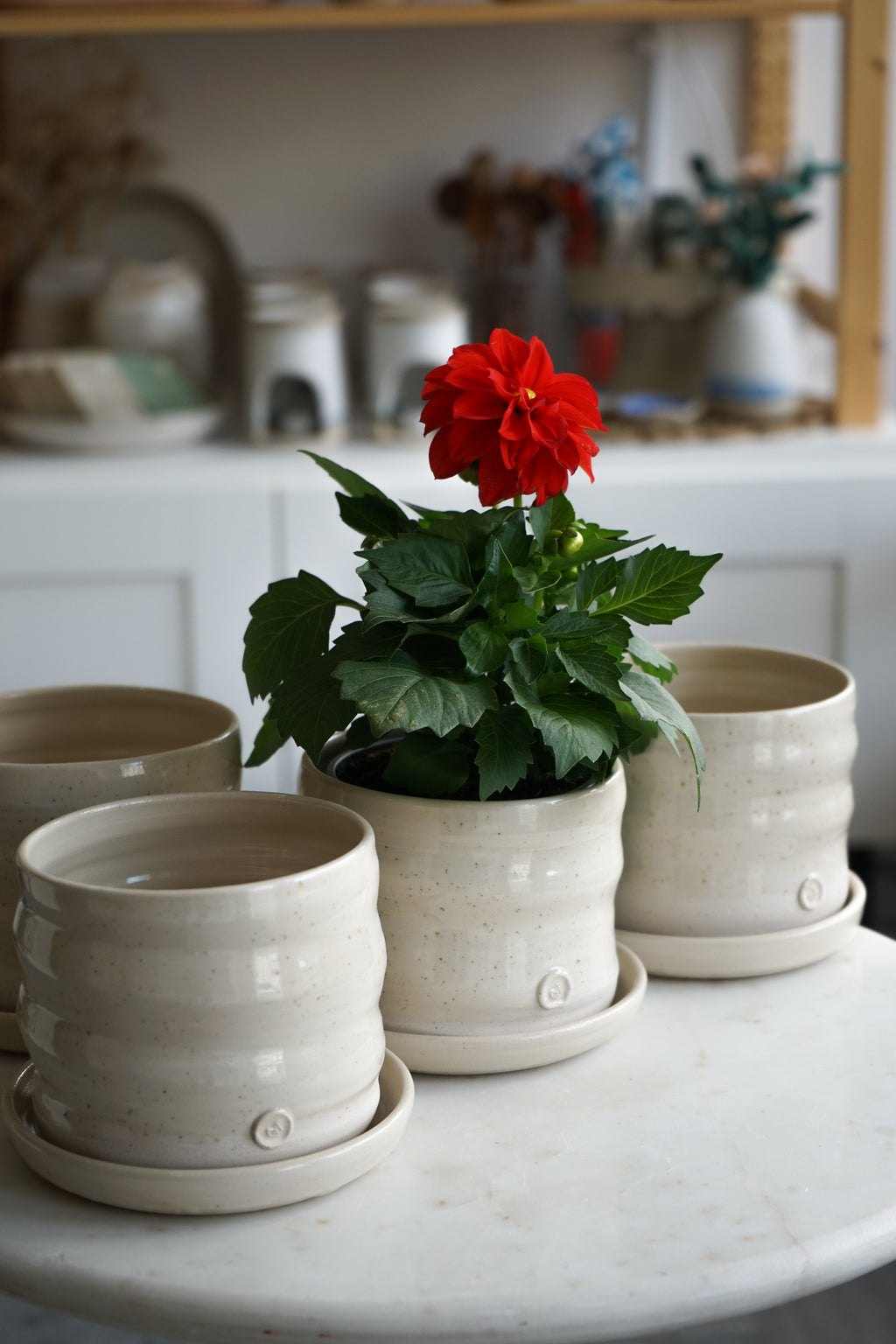Ceramic planter indoor