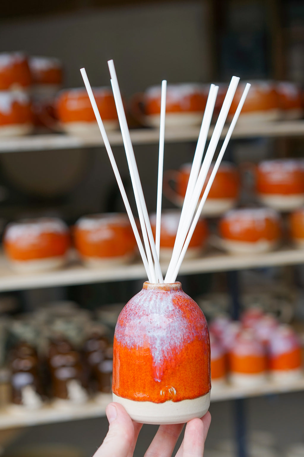 Halloween Mixed Reed Diffusers