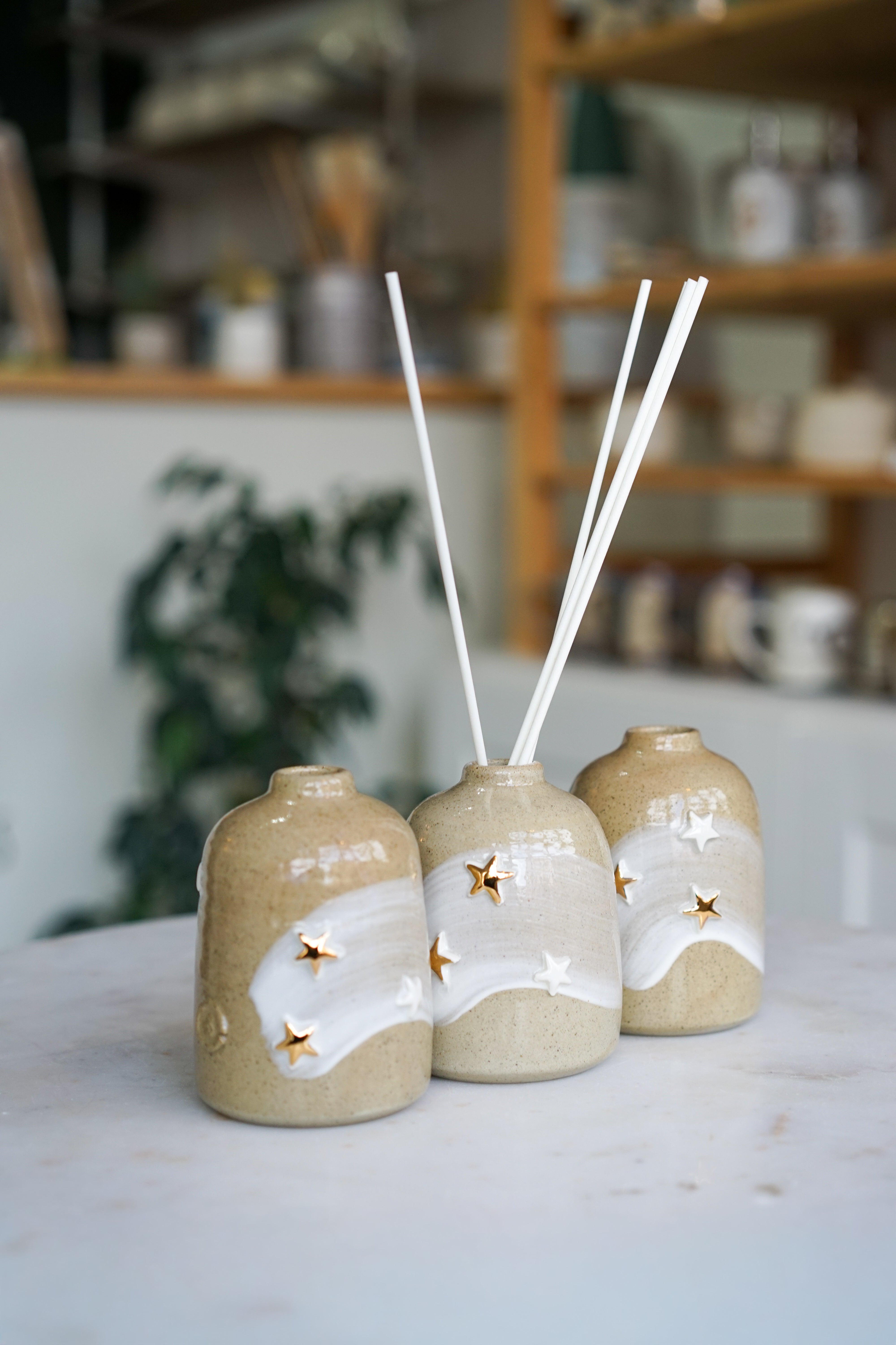 Star Reed Diffuser