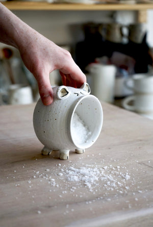 ceramic salt pig