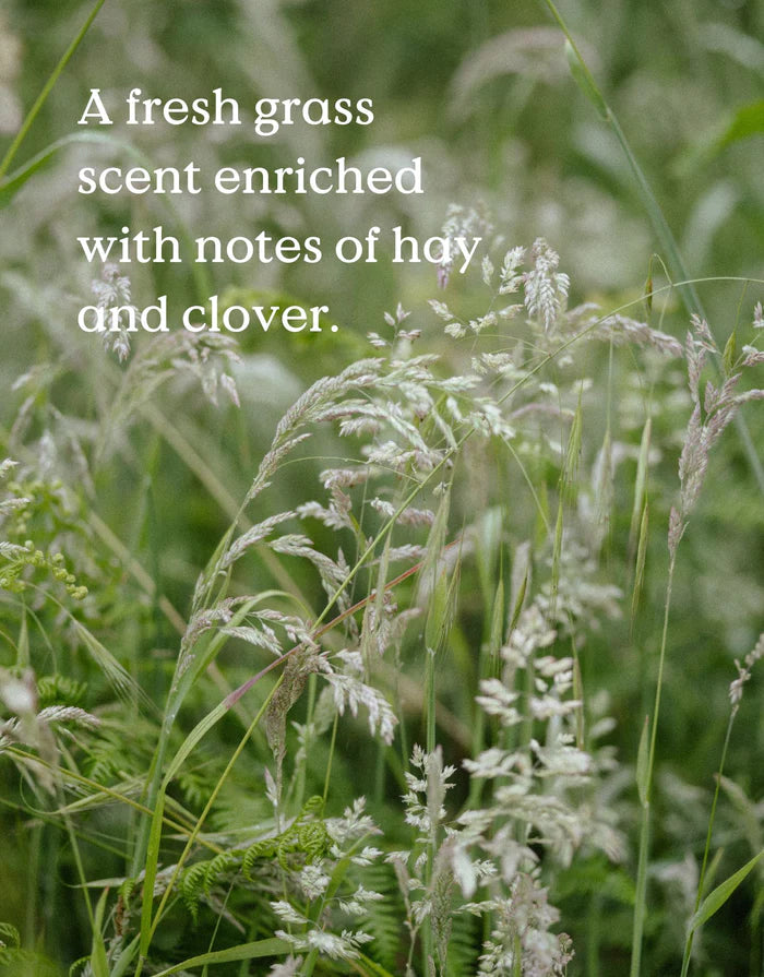 field day meadow diffuser refill