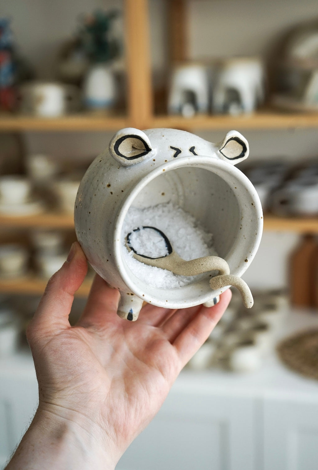 ceramic salt pig