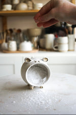 ceramic salt pig