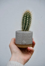 Slate Cactus Pot