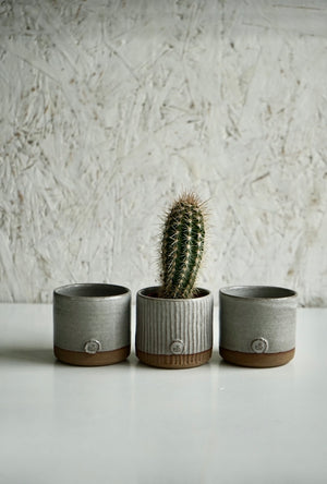 Slate Cactus Pot
